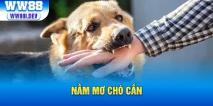 thumb nằm mơ chó cắn